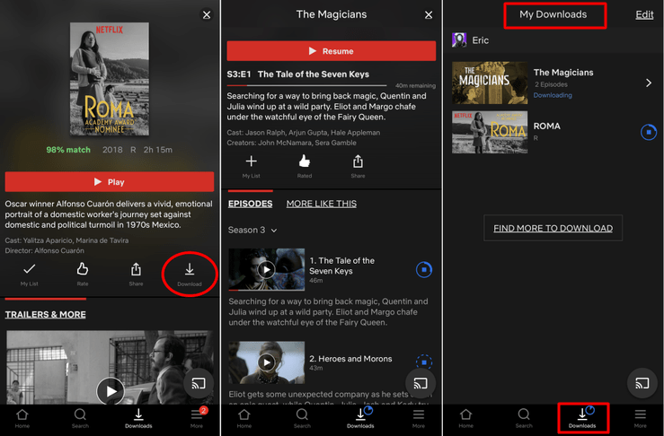 Download Movies and TV Shows From Netflix